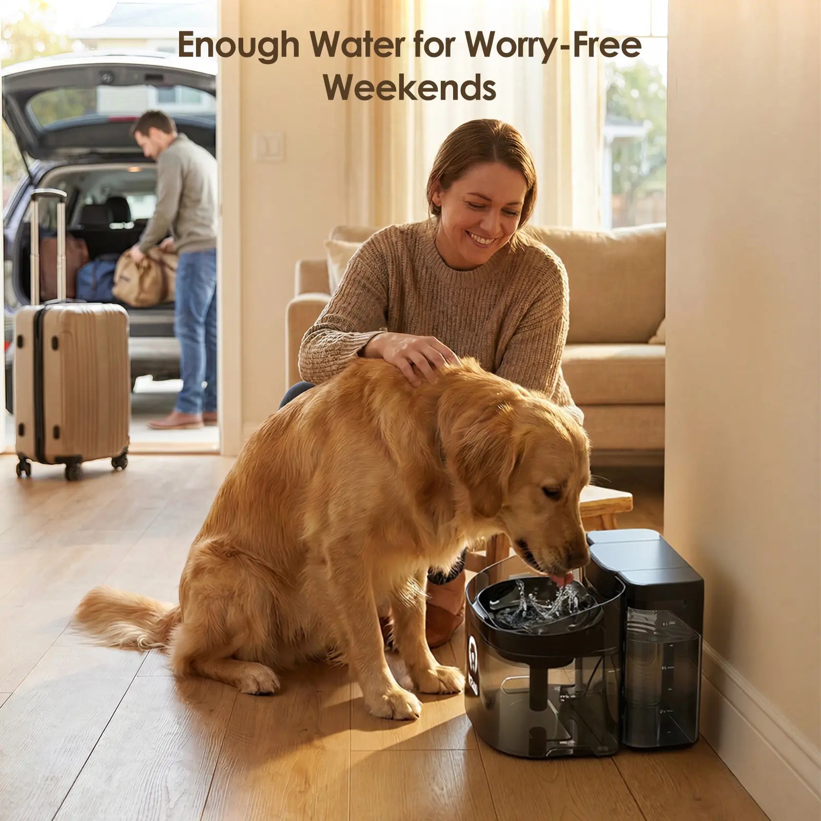 VEWO 11L No Spill Dog Water Fountain - Ideal for Large Breeds & Multi-Pet Homes, BPA Free, Ultra Quiet, 7-Day Refill-Free Convenience!