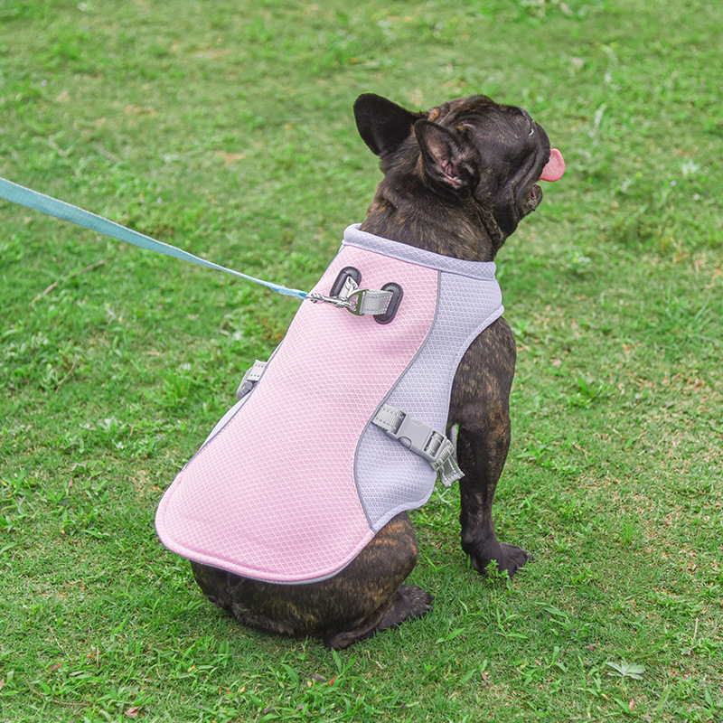 Pet Cooling Vest – Summer Heat Relief for Dogs & Cats