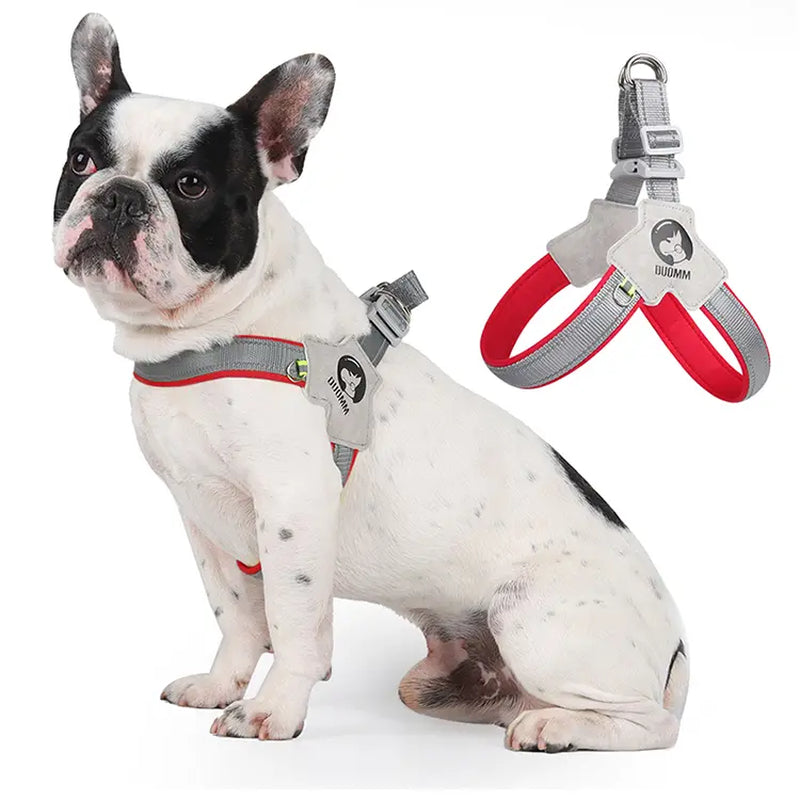 Ultimate Comfort Dog Harness & Leash Set for Small to Medium Breeds - Ideal for Corgis, Shiba Inus, and French Bulldogs!