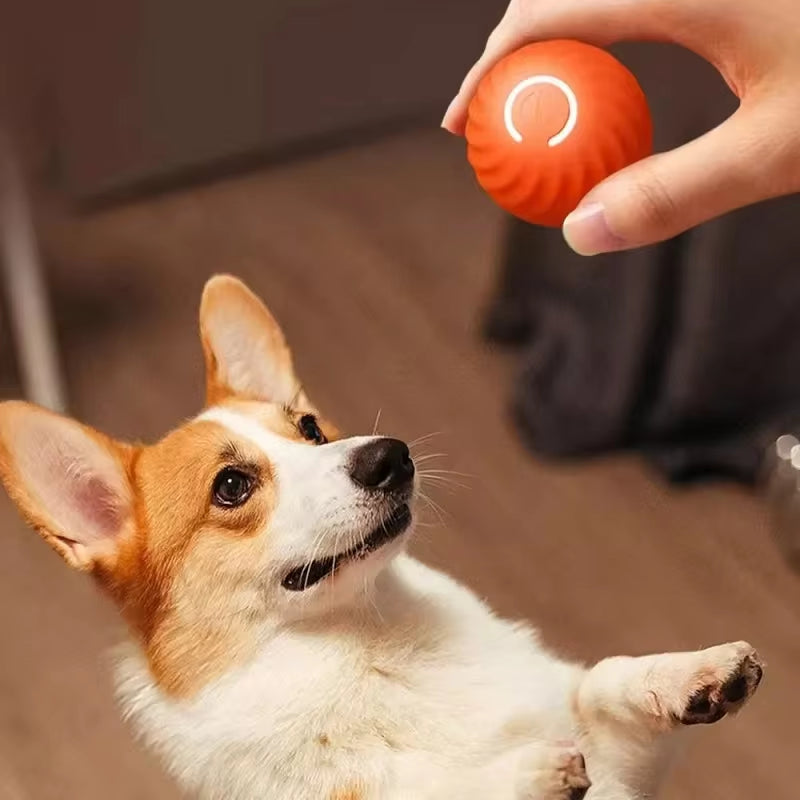 Interactive Rechargeable Dog Toy Ball - Bouncing & Rolling Chew Toy for Endless Fun!