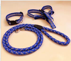 Durable Glow Dog Leash – Strong & Comfortable for All Breeds