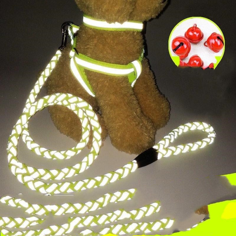 Durable Glow Dog Leash – Strong & Comfortable for All Breeds