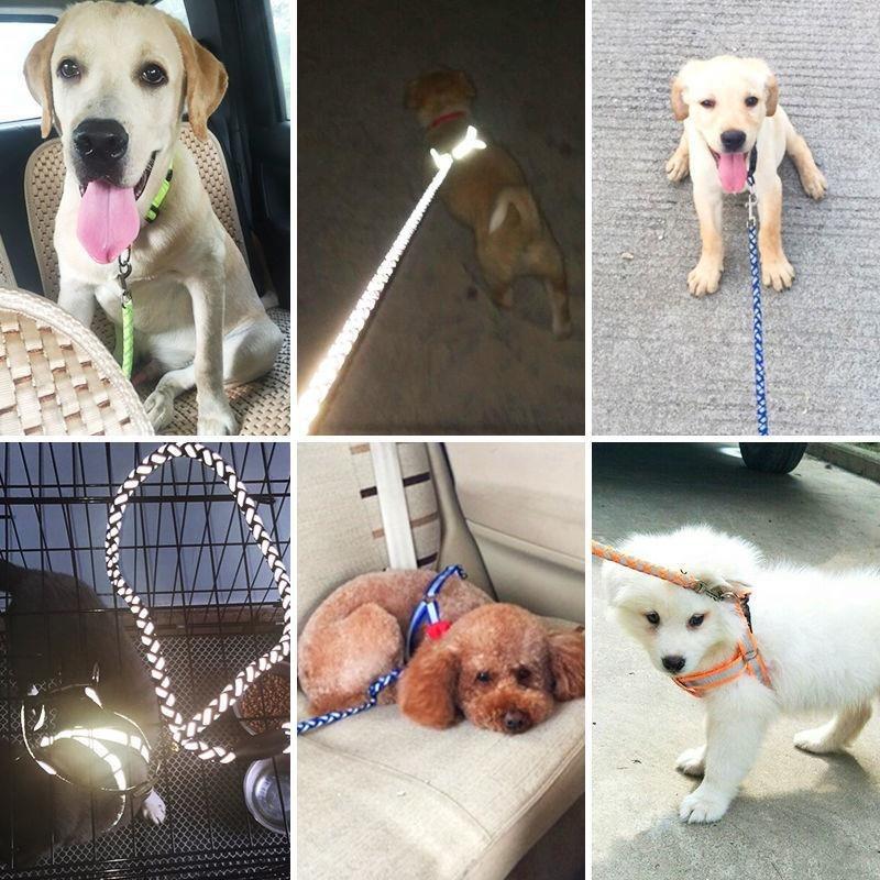 Durable Glow Dog Leash – Strong & Comfortable for All Breeds