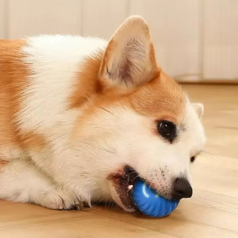 Interactive Rechargeable Dog Toy Ball - Bouncing & Rolling Chew Toy for Endless Fun!