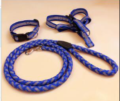 Durable Glow Dog Leash – Strong & Comfortable for All Breeds
