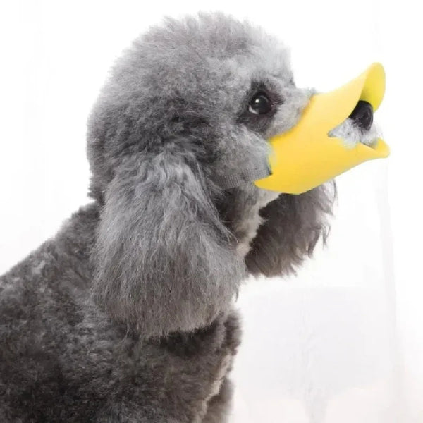 Charming Duck Dog Muzzle