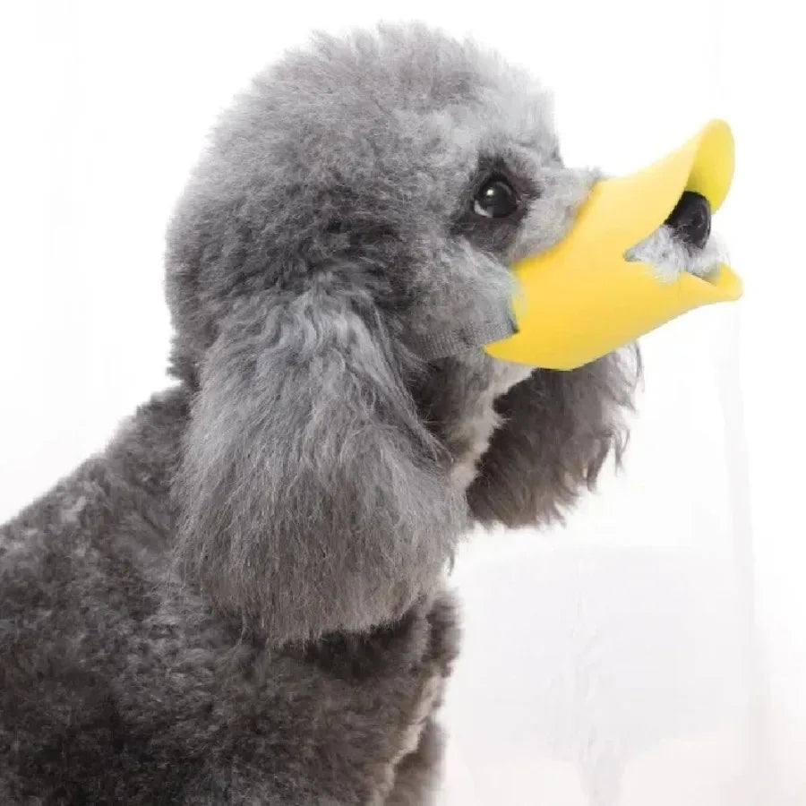 Anti-Bark Muzzle for Small Dogs