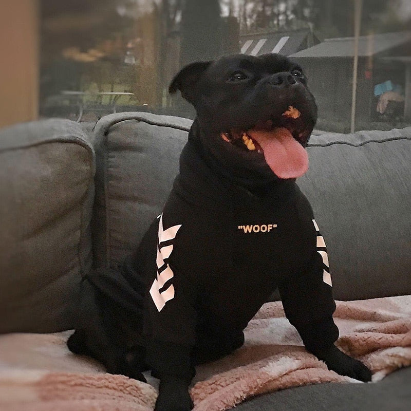Winter Dog Jacket with Hood – Warm & Windproof