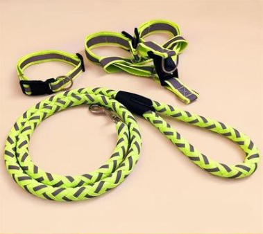 Durable Glow Dog Leash – Strong & Comfortable for All Breeds