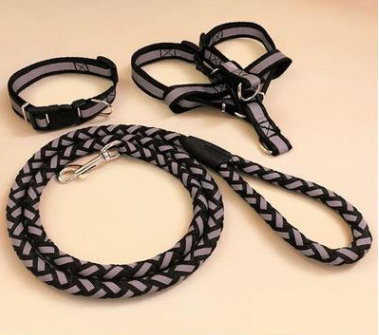Durable Glow Dog Leash – Strong & Comfortable for All Breeds