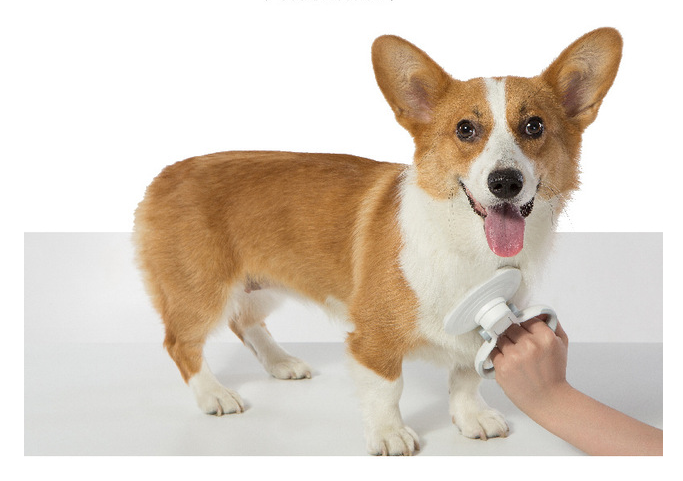 Self-Cleaning Pet Slicker Brush – Steel Wire Grooming Tool