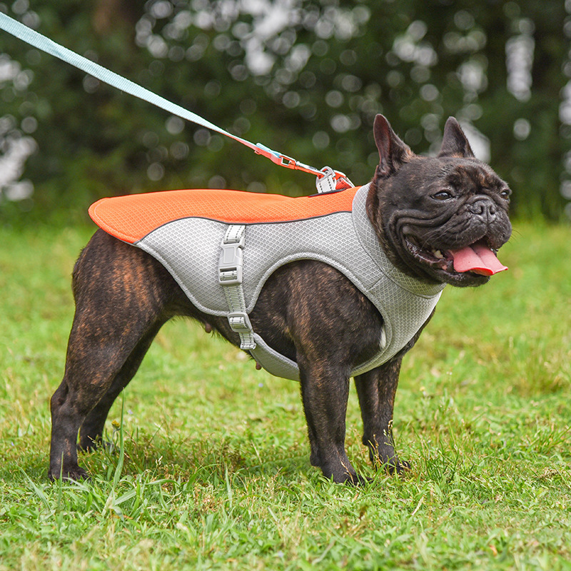 Pet Cooling Vest – Summer Heat Relief for Dogs & Cats