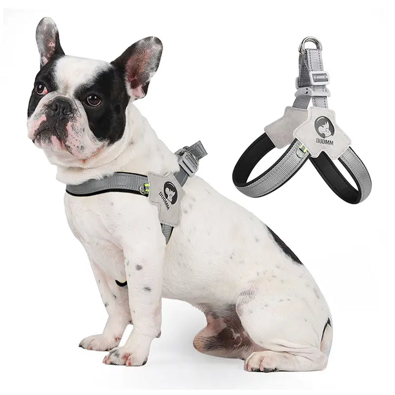 Ultimate Comfort Dog Harness & Leash Set for Small to Medium Breeds - Ideal for Corgis, Shiba Inus, and French Bulldogs!