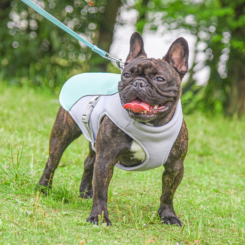 Pet Cooling Vest – Summer Heat Relief for Dogs & Cats