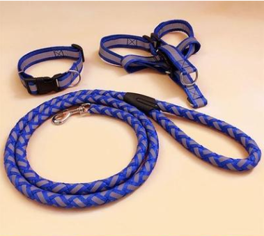 Durable Glow Dog Leash – Strong & Comfortable for All Breeds