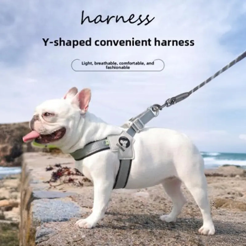 Ultimate Comfort Dog Harness & Leash Set for Small to Medium Breeds - Ideal for Corgis, Shiba Inus, and French Bulldogs!